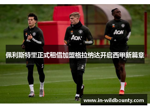 佩利斯特里正式租借加盟格拉纳达开启西甲新篇章