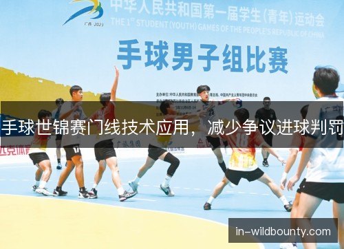 手球世锦赛门线技术应用，减少争议进球判罚