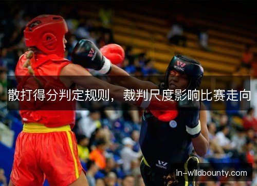 散打得分判定规则，裁判尺度影响比赛走向