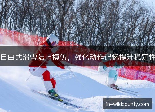 自由式滑雪陆上模仿，强化动作记忆提升稳定性