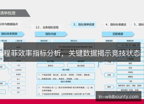 程菲效率指标分析，关键数据揭示竞技状态