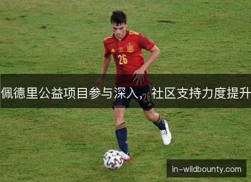 佩德里公益项目参与深入，社区支持力度提升